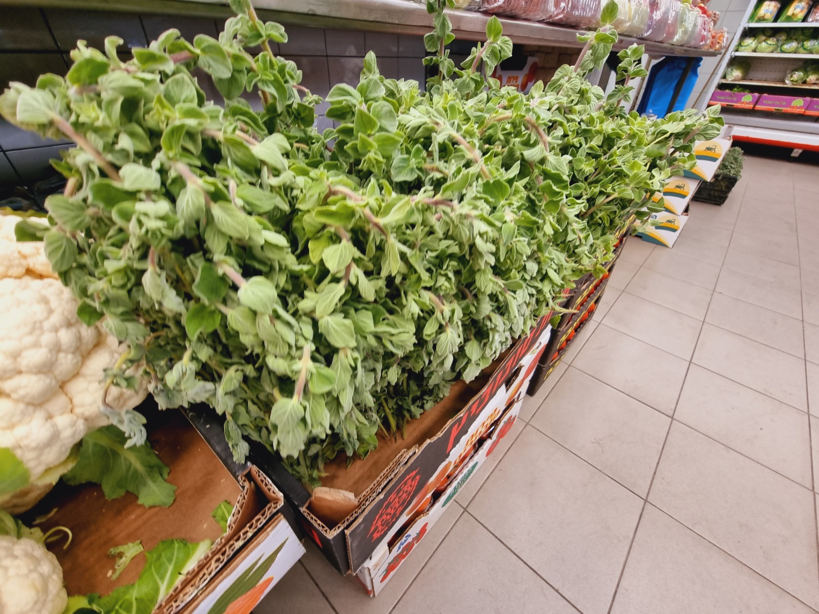 WhatsApp Image 2022-03-29 at 1.24.45 PM.jpeg